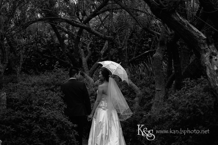 dallas chinese wedding photographer